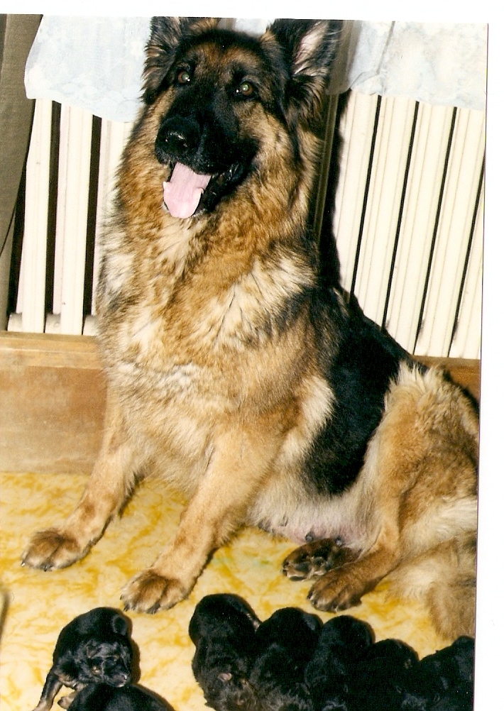 skenovat0004