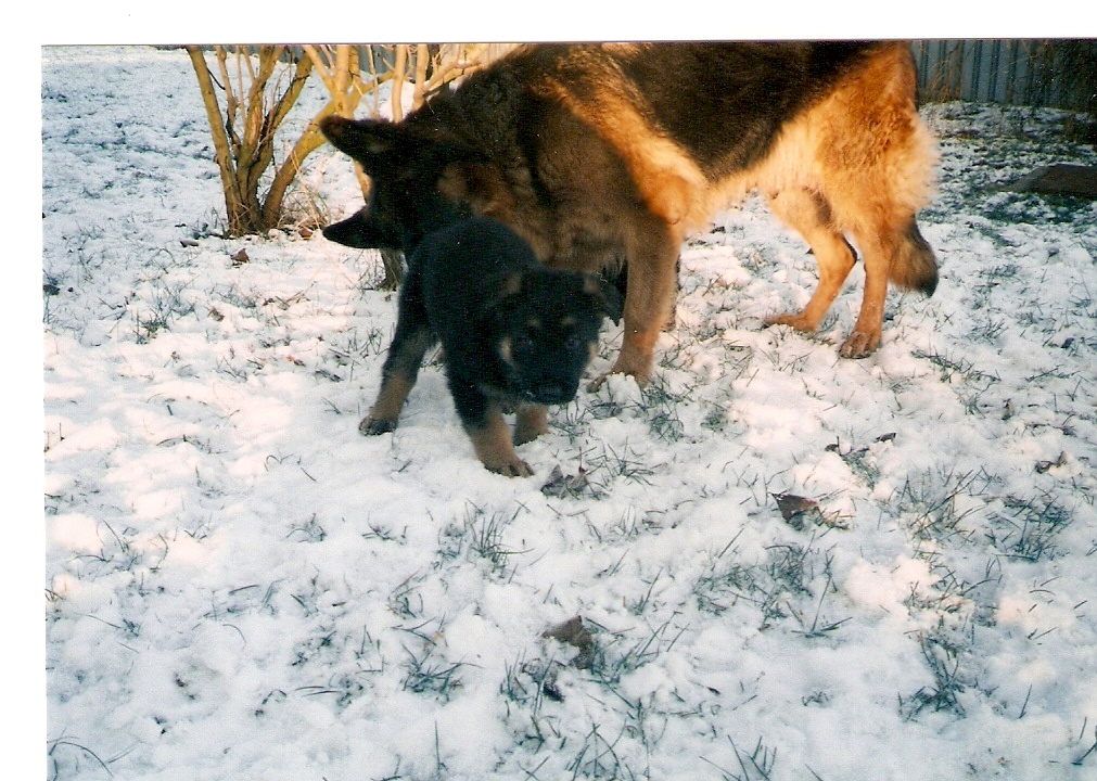 skenovat0003