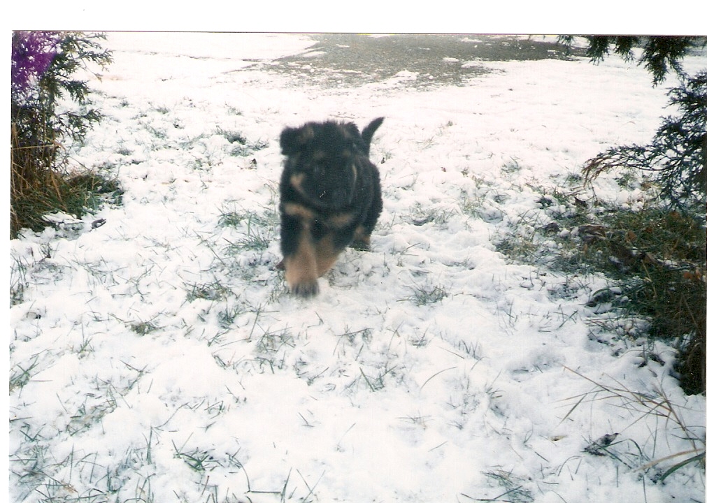 skenovat0004