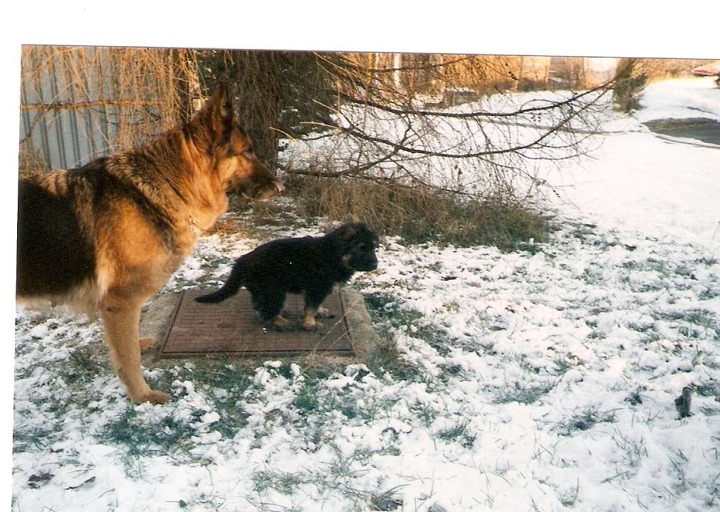 skenovat0005