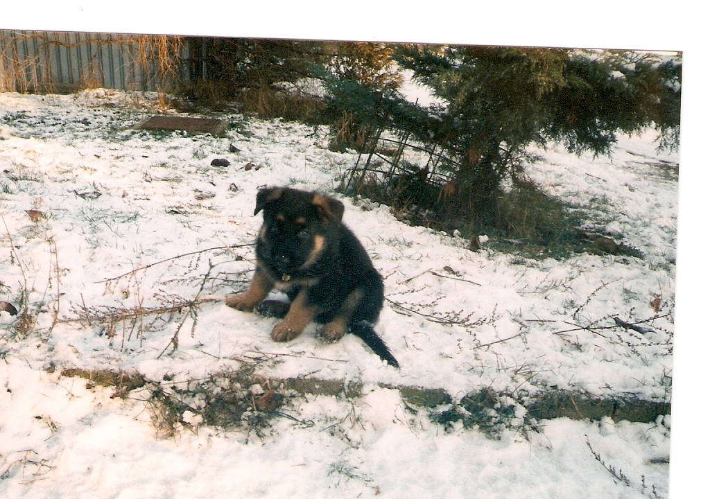 skenovat0006