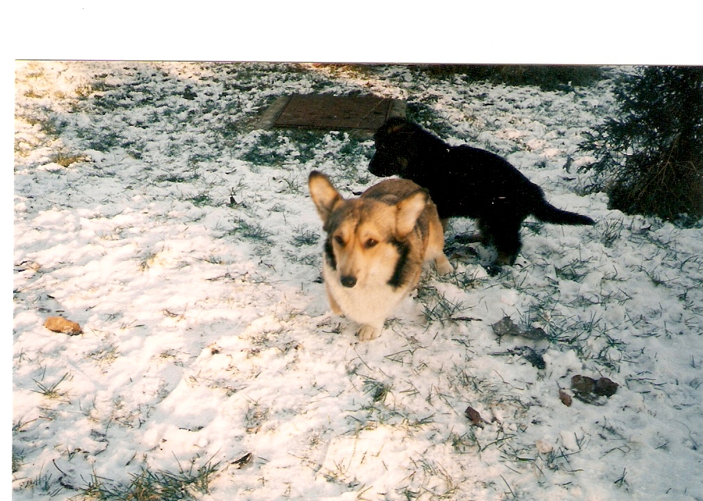 skenovat0009