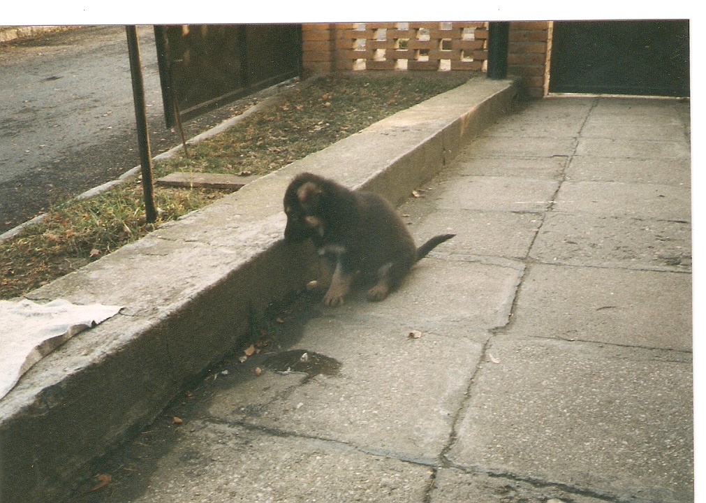 skenovat0014
