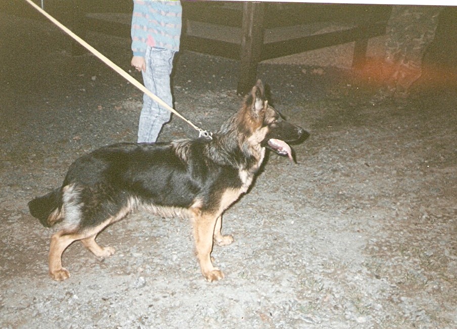 skenovat0012