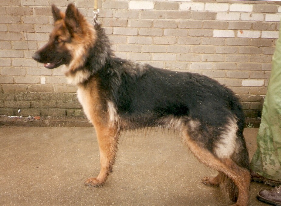 skenovat0013