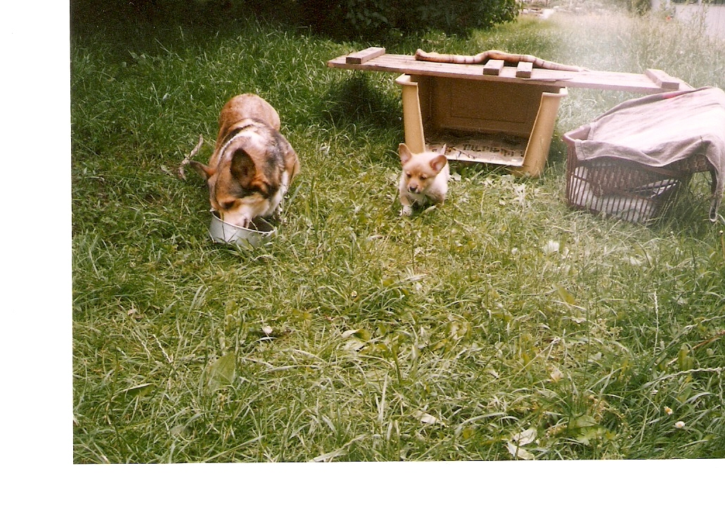 skenovat0015