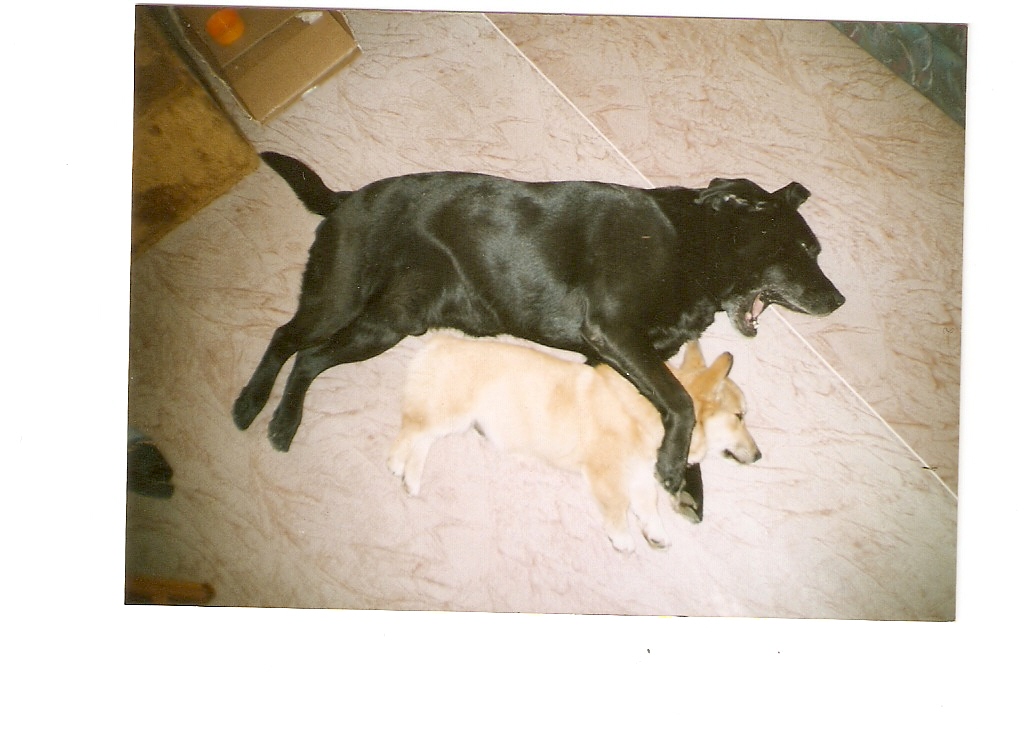 skenovat0021