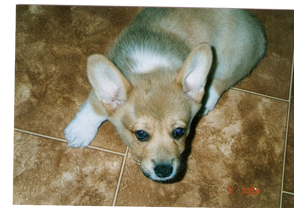 skenovat0029