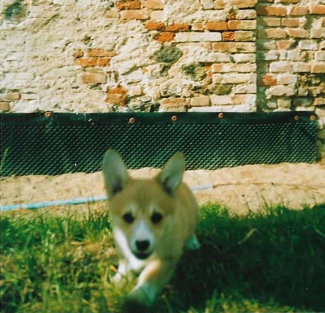 Scan0001