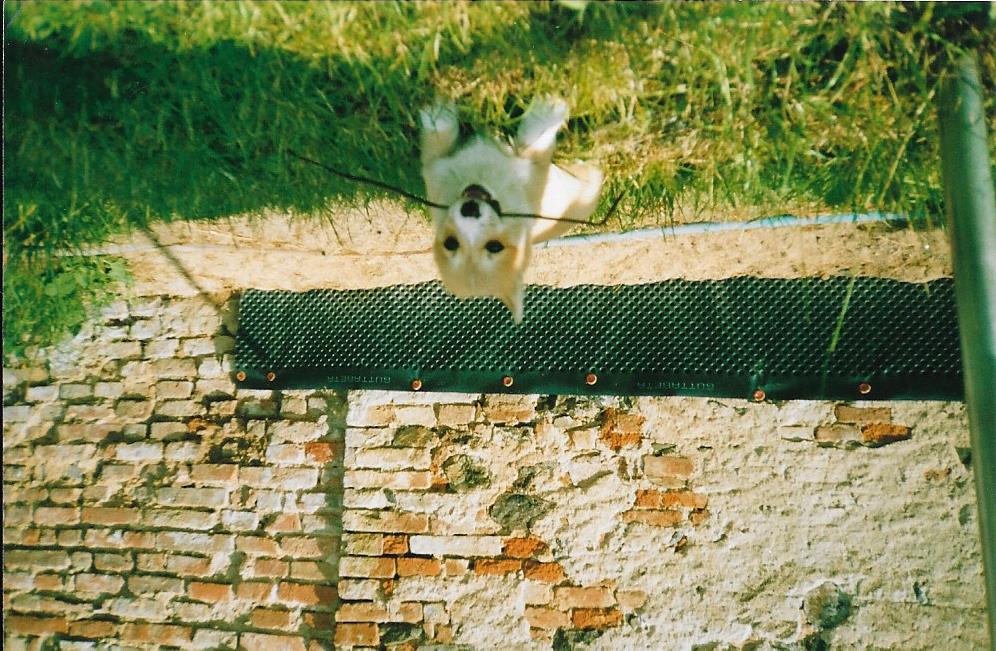 Scan0004